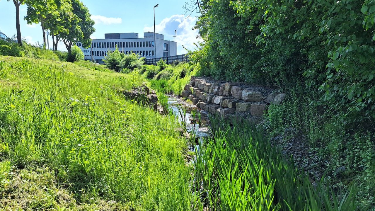 Planung von Freianlagen als Leistung des Ingenieurbüros Rademacher aus Arnsberg. Auf dem Bild sieht man den Aldi und Rewe Parkplatz in Werl Nord.